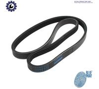 VRIBBED BELT AD07R2035 FOR EXL 6cyl