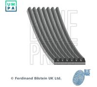 BLUE PRINT AD07R2080 Serpentine belt