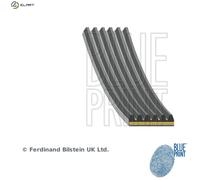 VRIBBED BELT AD6A994 FOR PEXN/HFY1/HFY7 2.0L 4cyl