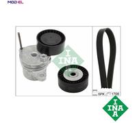INA 529 0310 10 V-Ribbed Belt Set