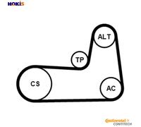 Multi-ribbed V-belt kit incl. tensioner pulley 5PK1125K1 CONTINENTAL CTAM