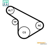 CONTITECH V-ribbed belt set 5PK1212K1 VAUXHALL: Astra Mk4 CC, Astra Mk4 Kombi, Astra Mk5 Sport Hatch, OPEL: Zafira A