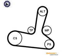 CONTITECH V-ribbed belt set 5PK1300K1 AUDI: A4 B5 Avant, A4 B6 Avant, A6 C5 Avant, VOLKSWAGEN: Passat B5 GP Estate