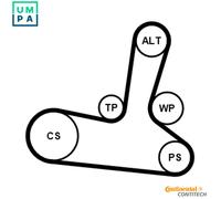 CONTITECH V-ribbed belt set 5PK1300K1 AUDI: A4 B5 Avant, A4 B6 Avant, A6 C5 Avant, VOLKSWAGEN: Passat B5 GP Estate