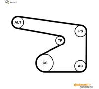 New V-Ribbed Belt Set for OPEL SUZUKI VAUXHALL:AGILA,VITA B,VITA C,ASTRA H