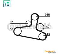 Contitech Continental V Ribbed Belt Set Torsion Damper Kit Alternator 6DPK1195D2