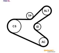 VRIBBED BELT SET 6PK1153K2 FOR PEUGEOT 307/SW/Van/Break CITROEN RHZ /RHS 2.0L