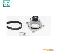 CONTITECH 6PK1173K2 V-Ribbed Belt Set