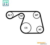 Continental V-Ribbed Belt Kit 6PK1310K1 - incl. Tensioner Pulley - for Fiat 500/Idea/Albea