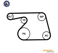 CONTITECH 6PK1318K2 V-Ribbed Belt Set