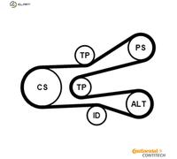 CONTITECH 6PK1440K1 V-Ribbed Belt Set