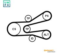 CONTITECH 6PK1440K1 V-Ribbed Belt Set