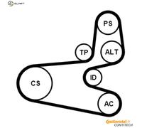 Multi-ribbed V-belt kit incl. tensioner pulley 6PK1560K1 CONTINENTAL CTAM