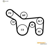 CONTITECH 6PK1715K1 V-Ribbed Belt Set