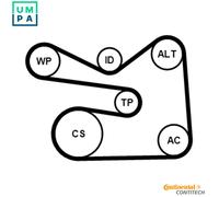 CONTITECH 6PK1733K3 V-Ribbed Belt Set