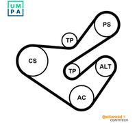 VRIBBED BELT SET 6PK1733K5 FOR PEUGEOT EXPERT/Platform/Chassis/Van 206 1.9L 4cyl