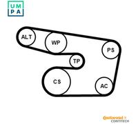 CONTITECH 6PK1873K3 V-Ribbed Belt Set