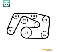 CONTITECH 6PK2271K1 V-Ribbed Belt Set
