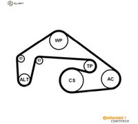 CONTITECH 6PK2460K1 V-Ribbed Belt Set