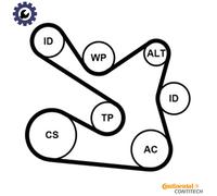 CONTITECH 7PK1605K1 V-Ribbed Belt Set