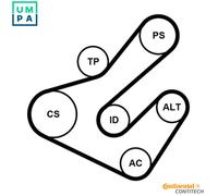 CONTITECH 7PK1795K2 V-Ribbed Belt Set