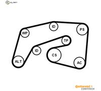 CONTITECH 7PK2035K1 V-Ribbed Belt Set