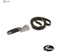 GATES K016PK803EST V-Ribbed Belt Set