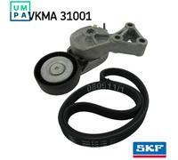 V-Ribbed Belt Set SKF VKMA 31001 Fits Audi Ford Seat Skoda VW A3 Alhambra Bora