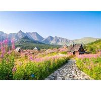 vrupi 7x5ft Sunny Countryside Small Village Scenic Vinyl Photography Background Rough Stone Road Flower Field Remote Mountains Backdrop Spring Scenery Wallpaper Studio Props