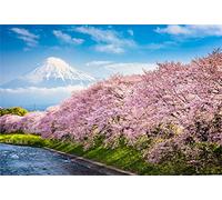 vrupi 8x6.5ft Spring Japanese Famous Scenic Spot Scenic Vinyl Photography Background Blooming Sakura Cherry Blossom Trees Canal Hanami Remote Snowy Mount Fuji Backdrop Landscape Wallpaper Studio