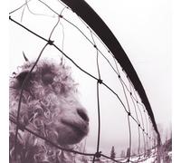 Vs. (30th Anniversary Edition) [VINYL]