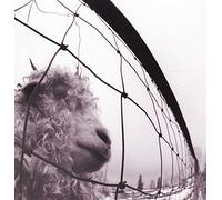 PEARL JAM - Vs - Vinyl (gatefold heavyweight vinyl LP)