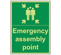 Vsafety 17016BC-G'Emergency Fire Assembly Point' Sign, Glow In Dark, 1 mm Plastic, Portrait, 300 mm x 400 mm, Green