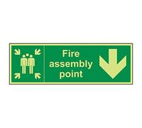 Vsafety 17024BJ-G'Fire Assembly Point Arrow Down' Sign, 450 mm x 150 mm (Pack of 3)
