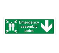Vsafety 17030AX-R'Emergency Assembly Point Arrow Down' Sign, 300 mm x 100 mm (Pack of 3)