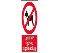 VSafety 54011AU-W "No Dogs Except Guide Dogs" Prohibition Sign, Window Sticker, Portrait, 200 mm x 300 mm, Black/Red