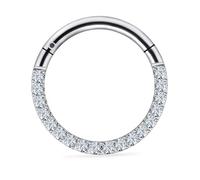 Vsnnsns 16G 18G 20G Titanium Septum Rings Daith Piercing Jewelry Clicker Septum Jewelry Cubic Zirconia Septum Rings Daith Earrings Piercing Jewelry Hoops For Women Men, Metal, cubic zirconia