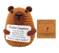 Vspek Emotion Support Capybara, Good Luck Gifts Positive Doll with Pocket Hug card, Pocket Hug Gift for Women, Men, Friends, Co-workers, Birthday Graduation Teacher, Cute Desk Decor for Home Office