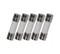 VSPPJYFG 5PCS T2.5A H250V Fuse