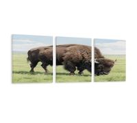 VstaDank American Bison Wall Art for 3 Piece Living Room,Wall Decor Large Size Decorative Painting,Canvas Wall Art for Bedroom,Dining Room,Office,etc