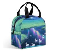 VstaDank Aurora Grassland Lakes Lunch Bag Insulation Up,Cooler Bag with Storage Pocket,Lunch Box for Reusable Easy to Fold