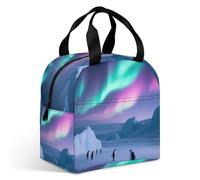 VstaDank Aurora Ice Fields Lunch Bag Insulation Up,Cooler Bag with Storage Pocket,Lunch Box for Reusable Easy to Fold