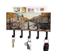 VstaDank Bicycles in Amsterdam Key Holder for Wall Key Holder Wall Mount Adhesive with Mail Organizer Tray Adhesive Metal Key Rack with 5 Hooks Hanger PU Leather Key Hanger for Entryway