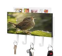 VstaDank Birdsong Key Holder Wall Mount PU Key Rack Decorative Key and Mail Holder Wall Key Organizer with 5 Key Hooks Key Hanger for Entryway Kitchen Living Room Office Doorway Decor White