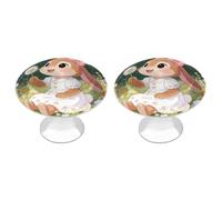 VstaDank Bunny Floral Carnival Cabinet Knob 2 Pack Round Drawer Pull Kitchen Cabinet Hardware Stainless Steel Dresser Drawer Knob Simple Cabinet Pull for Dresser Closet Door Knobs Cupboard