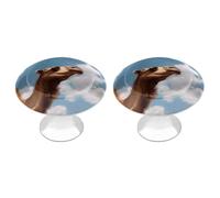 VstaDank Camel Looking Up at The Sky Cabinet Knobs Round Wardrobe Pulls Simple Drawer Handles with Screw Aluminum Alloy Closet Door Pull Modern Cabinet Hardware for Dresser Drawers 2 Pack