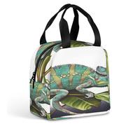 VstaDank Chameleon Lunch Box Large Capacity Cooler Bag with External Pocket Portable Tote for Cold Meal Leakproof Food Delivery Insulation Bags for Work And Picnic