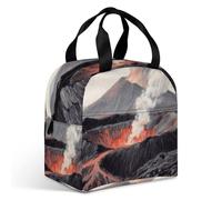 VstaDank Crater Lunch Bag Insulation Up,Cooler Bag with Storage Pocket,Lunch Box for Reusable Easy to Fold