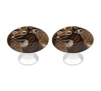 VstaDank Deer on Brown Background Drawer Knob Nice Bathroom Cabinet Knob Round Cabinet Pull Stainless Steel Cabinet Handle Circle Drawer Handle Modern Drawer Pull for Wardrobe Cupboard 2 Pcs
