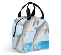 VstaDank Dolphins Flying And Playing Lunch Bag Insulation Up,Cooler Bag with Storage Pocket,Lunch Box for Reusable Easy to Fold